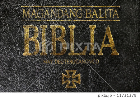 The Bible The Bible 11731379