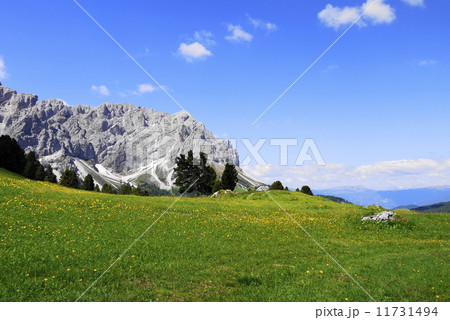 オドレ・ディ・エオレス　Odle　di　Eores　　Tullen 11731494