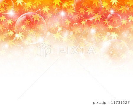 もみじ 紅葉 背景 もみじ 紅葉 背景 11731527