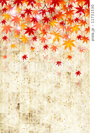 もみじ　紅葉　背景 11731530