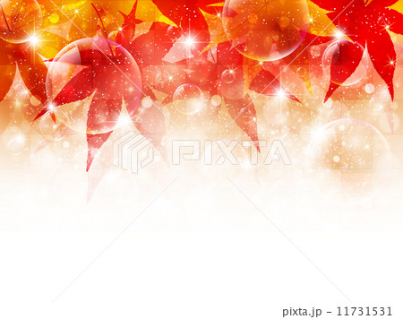 もみじ 紅葉 背景 もみじ 紅葉 背景 11731531