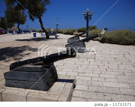 ヤッホ (イスラエル) ヤッホ (イスラエル) 11731571