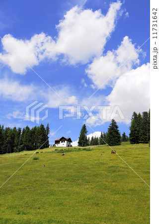 カレッツァ・アル・ラーゴ　Carezza　al　lago　　カーラーゼーア　Karersee 11731642