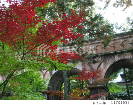 紅葉の南禅寺 11731655
