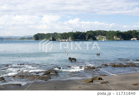 三浦半島小網代湾の海岸の景色 三浦半島小網代湾の海岸の景色 11731840