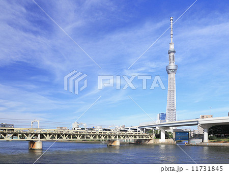 スカイツリーと東武鉄道 スカイツリーと東武鉄道 11731845