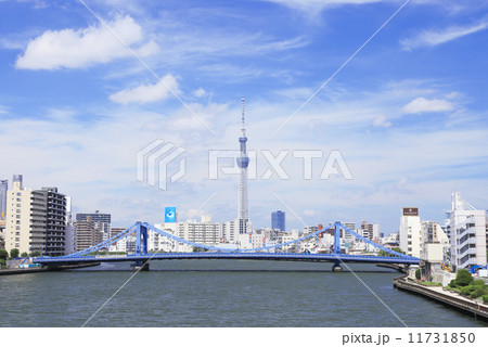 スカイツリーと清洲橋 11731850