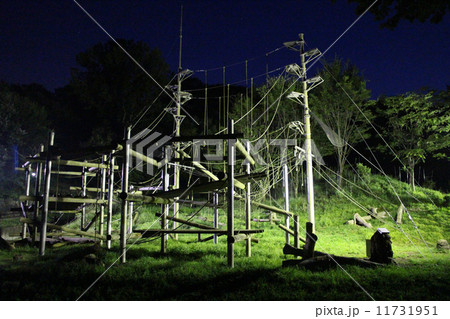 神秘的な夜の動物園　チンパンジーのジャングルジム（多摩動物公園） 11731951