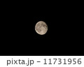 月 11731956