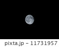 月 11731957