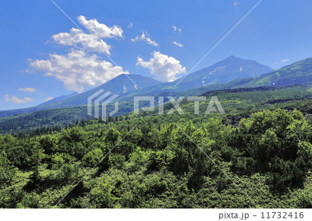 大雪山系 11732416