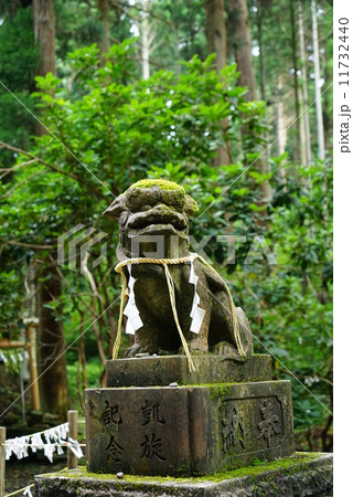 お岩神社 狛犬 お岩神社 狛犬 11732440