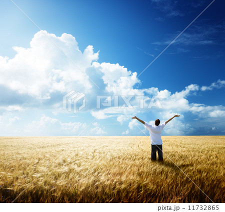 happy young man rest on wheat field 11732865