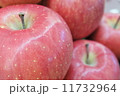 りんご 11732964