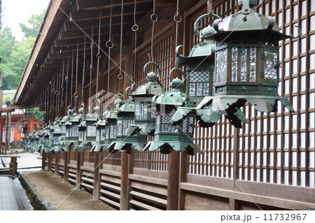 春日大社燈籠 11732967