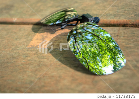 クリップサングラスに写る緑の風景 クリップサングラスに写る緑の風景 11733175