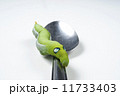 Giant Asian juicy caterpillar moves slowly over a spoon on a white background. 11733403
