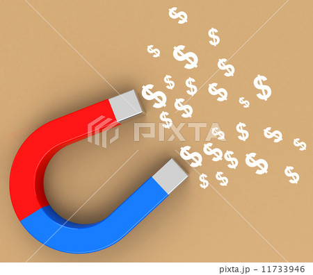 the money magnet 11733946