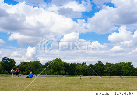 公園 11734367