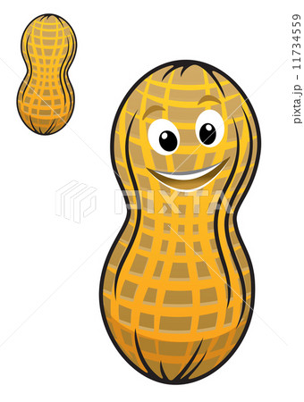 Cartoon peanut in shell 11734559
