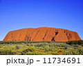 エアーズロック　ウルル　オーストラリア 11734691
