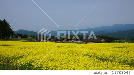 妙高クラインガルテン 11735042