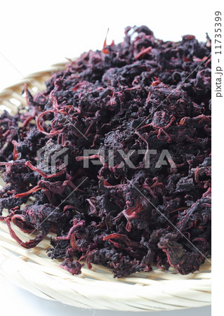 乾燥した赤シソ 乾燥した赤シソ 11735399