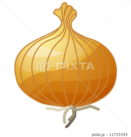 たまねぎ たまねぎ 11735593