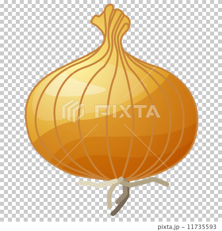 たまねぎ たまねぎ 11735593