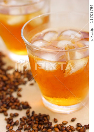 麦茶 麦茶 11735794