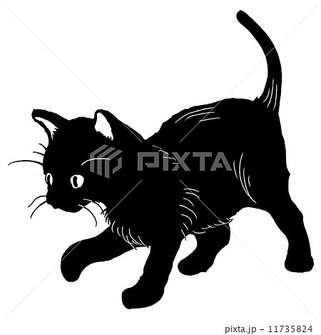 黒猫 ネコ ねこ 猫 白黒 かわいい イラスト シルエット 背景なし ハロウィン 白バックのイラスト素材