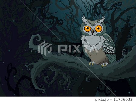 Night owl Night owl 11736032