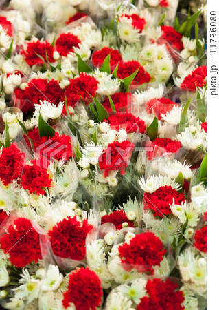 Flowers in several colors. 11736080