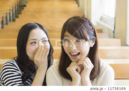 内緒話をする女子大生 内緒話をする女子大生 11736169