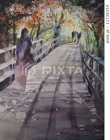 石神井公園 11736354