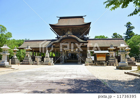 正八幡宮 正八幡宮 11736395