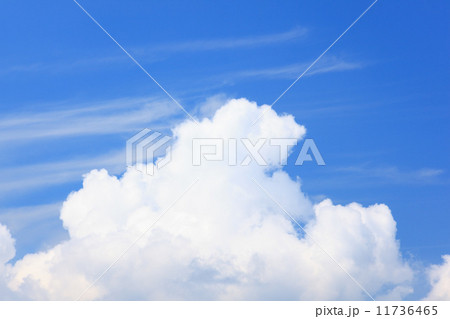 北海道 美瑛町 入道雲 北海道 美瑛町 入道雲 11736465