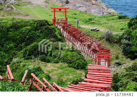 元乃隅稲成神社　鳥居 11736481