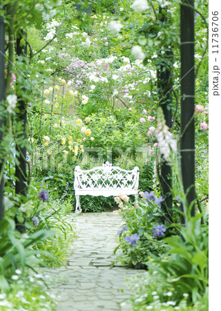 バラのアーチ ベンチ ローズガーデン バラ園 石畳の写真素材