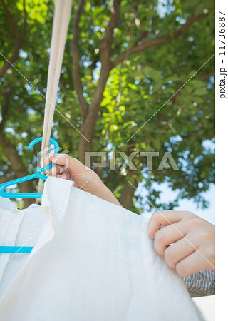 洗濯干し 11736887