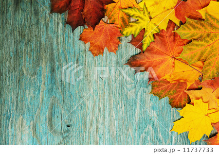 Autumn frame Autumn frame 11737733