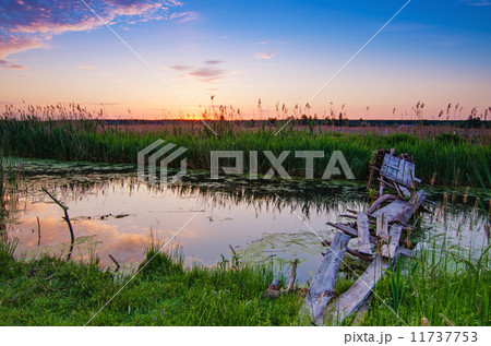 Rural summer sunrise Rural summer sunrise 11737753