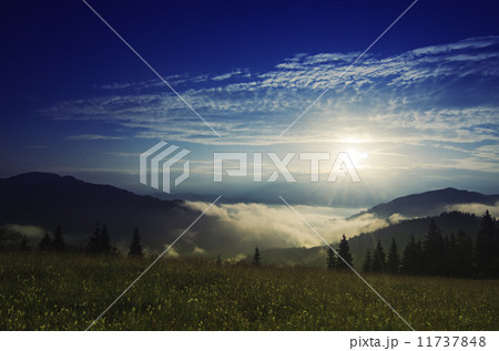 Foggy morning landscape Foggy morning landscape 11737848