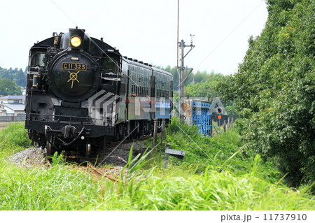 真岡鐵道「鉄橋を越えてカーブへ走るSL」 11737910