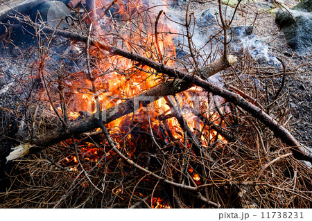 outdoor firewood burning in fireplace 11738231