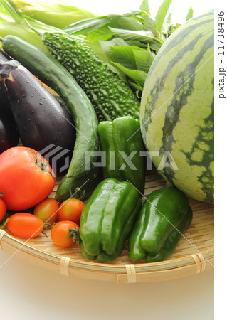 夏野菜の収穫 夏野菜の収穫 11738496