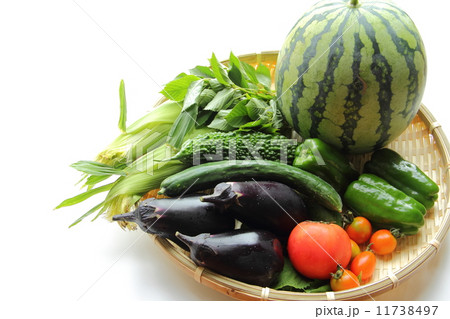 夏野菜の収穫 11738497