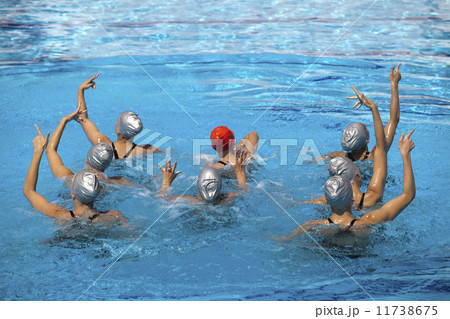 Synchronized swimmers 11738675