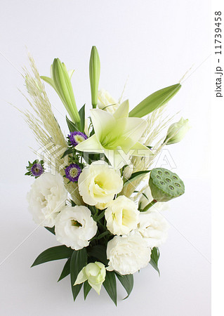 ハスの実の白色系アレンジ(縦 全体 ユリ上向き) ハスの実の白色系アレンジ(縦 全体 ユリ上向き) 11739458