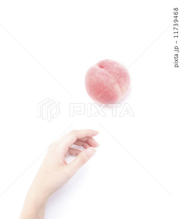 もも もも 11739468